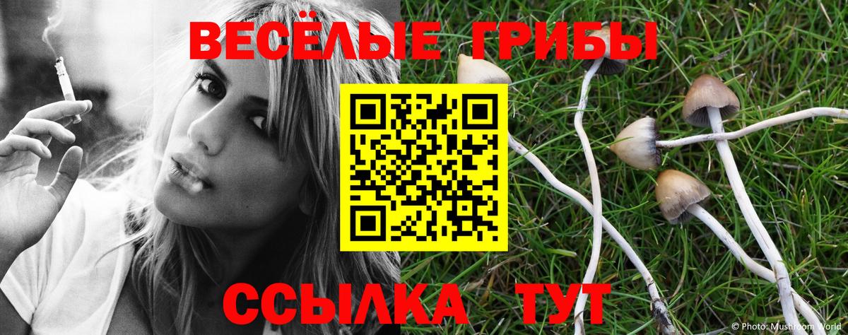 Галлюциногенные грибы MAGIC MUSHROOMS Новый Уренгой